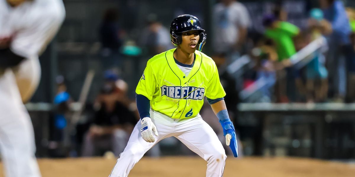 Parking Columbia Fireflies at Myrtle Beach Pelicans, 22 July | Event in Myrtle Beach | AllEvents