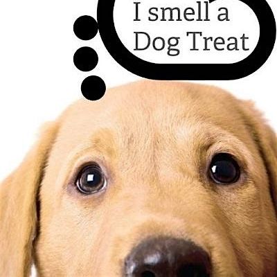 Vicious Fishes Brewery Cary & DOGSNOG dog treats logo