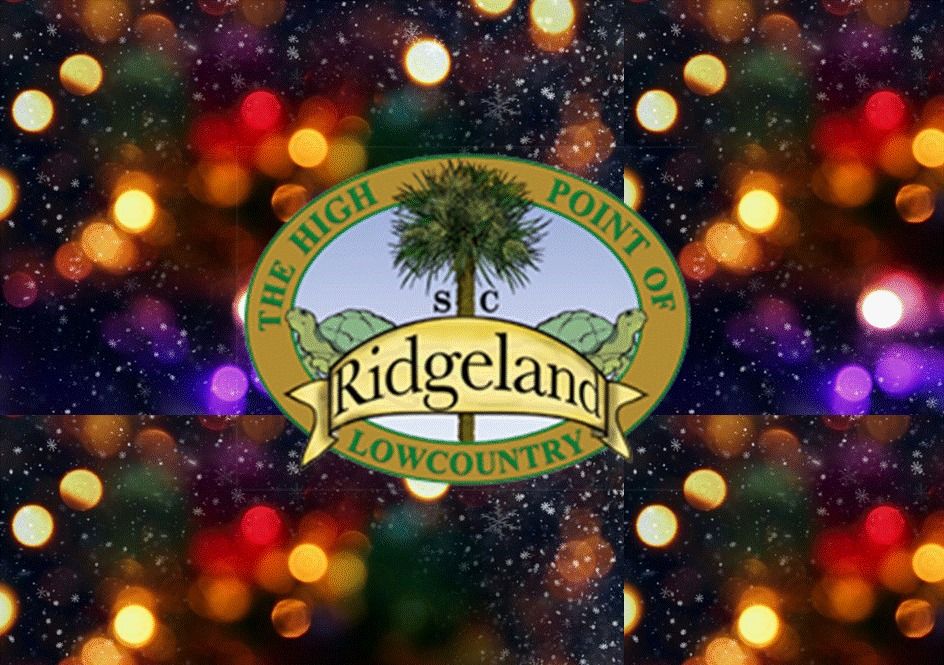 Town of Ridgeland Annual Christmas Parade and Holiday Lights , 153