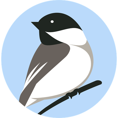 MyMaine Media
