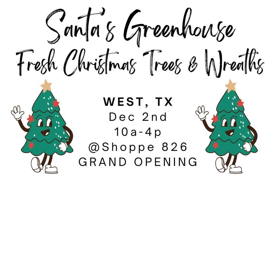Santas Greenhouse Live Christmas Tree Sale, Shoppe 826, Aquilla