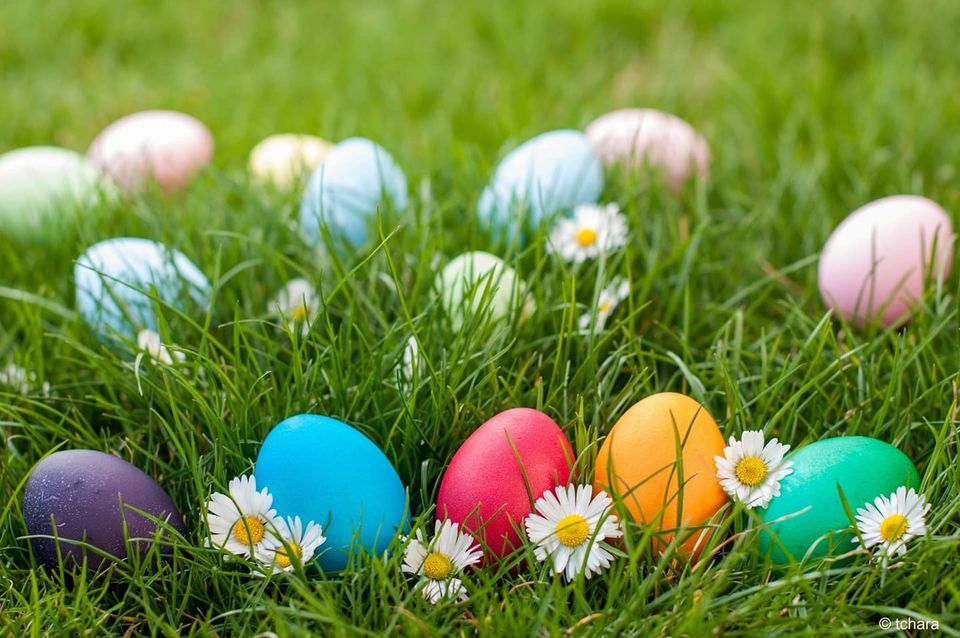 Easter Egg Hunt, First Separate Baptist Church of Franklin, April 8