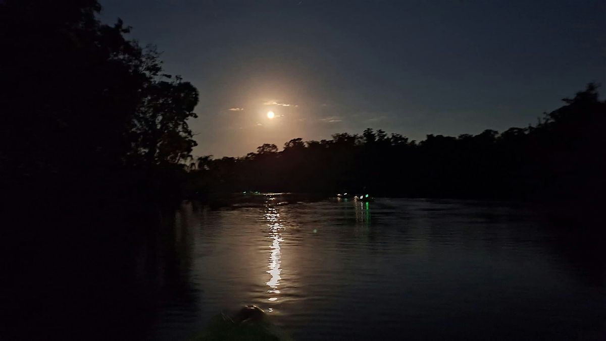 Sunset & Moonlight Kayaking Tour, 3 December | Event in Homosassa | AllEvents