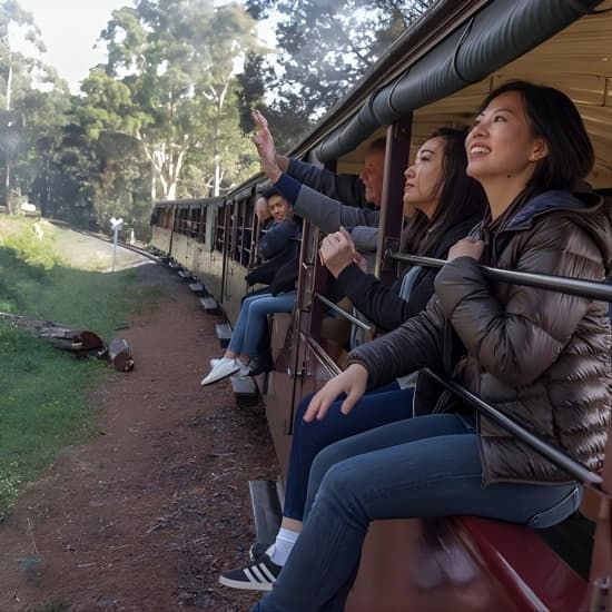 1 day Puffing Billy Steam Train and Wildlife Tour from Melbourne | Event in Melbourne | AllEvents