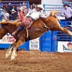 PRCA Rodeo