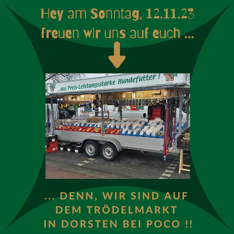 Trödelmarkt Poco in Dorsten, POCO Einrichtungsmärkte (Dorsten), Marl