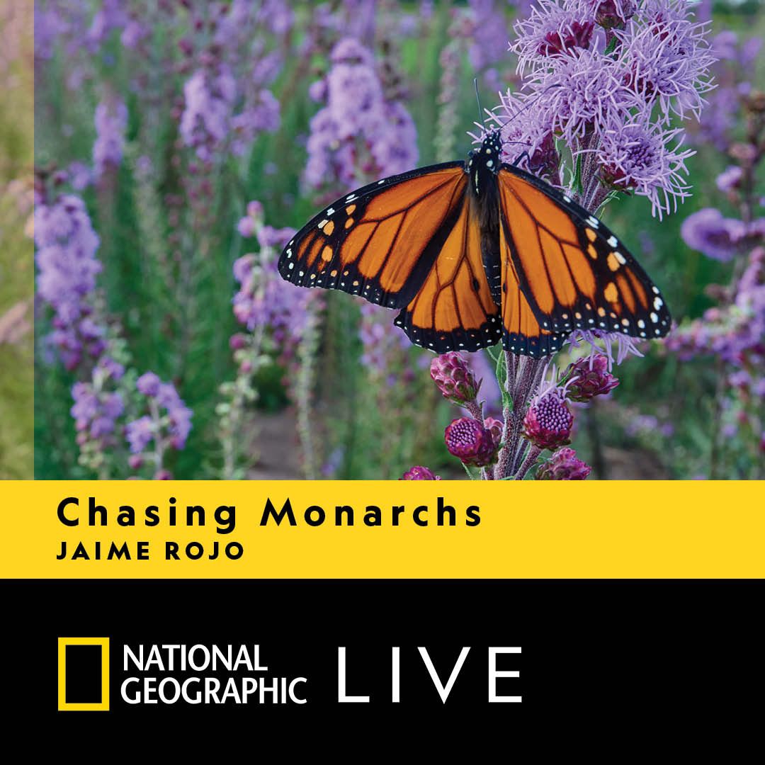 Chasing Monarchs - Jaime Rojo at Bank Of America Performing Arts Center - Fred Kavli Theatre, 21 November