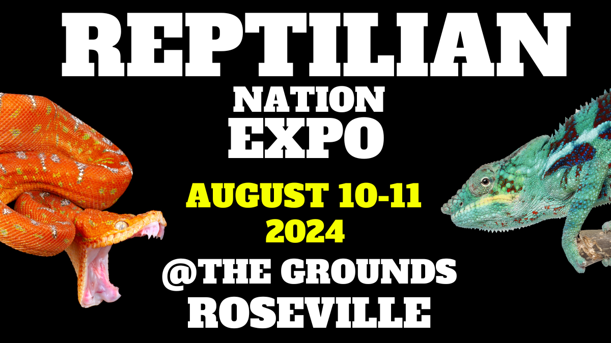 Reptilian Nation Expo - Sunday at Freeman Coliseum, 24 August | Event in San Antonio | AllEvents
