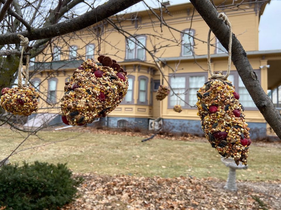 No School Monday Bird Snack Bird Feeder, Family Activity, North Wood