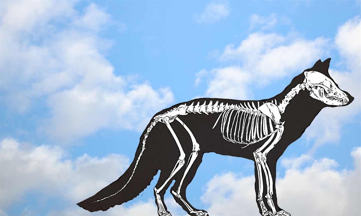 Sandy Hook Jaws & Claws Pop-Up, 5 December | Event in Sandy Hook | AllEvents