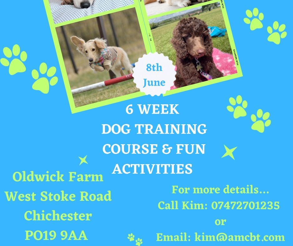 New 6 Week Fun Course Oldwick Farm, Oldwick Saddlery & Country
