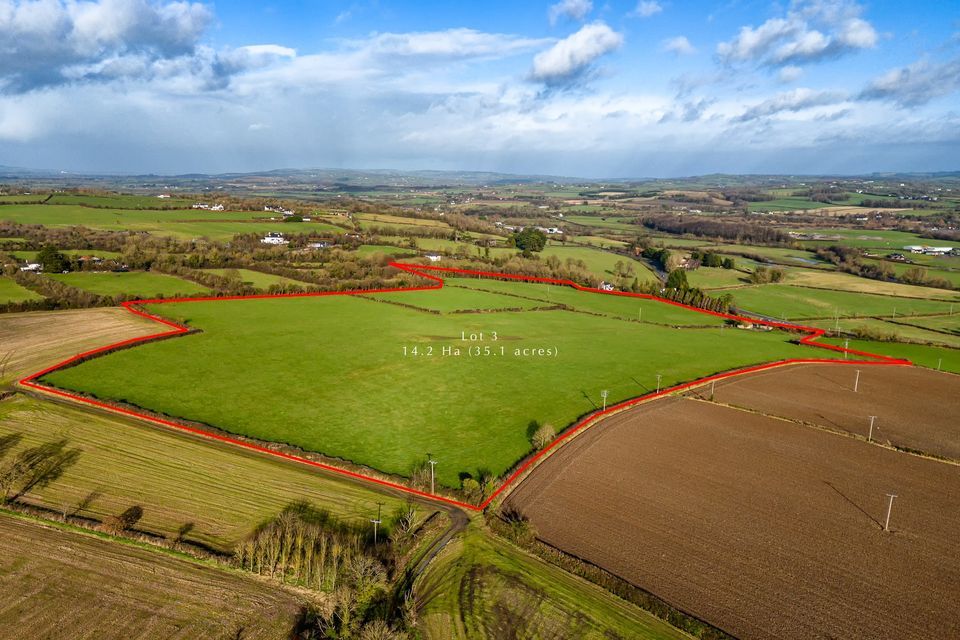 Auction Prime Roadside Land, Coolgrange, Freshford Road, Kilkenny