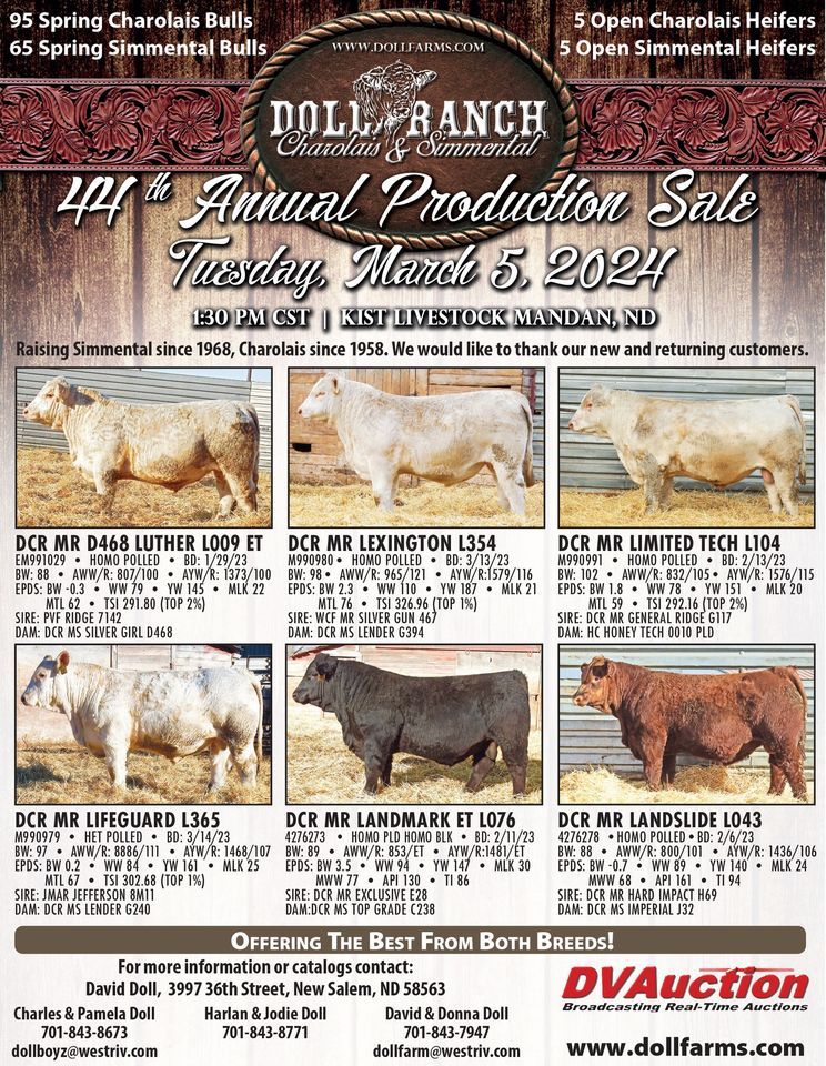 Doll Ranch Charolais & Simmental 44th Annual Production Sale, Kist