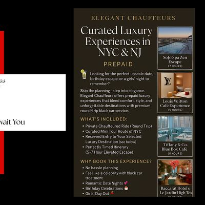 Elegant Chauffeurs