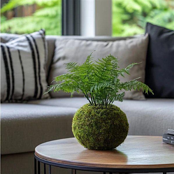 Japanese Kokedama Centerpiece, 13 March | Event in Brantford | AllEvents