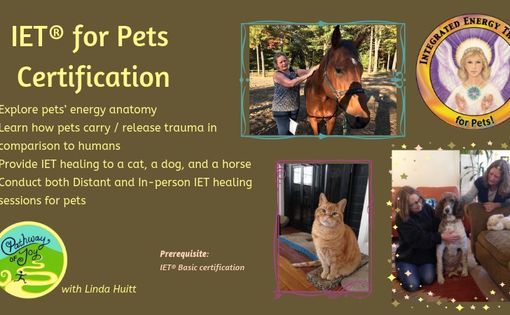 All Events In Saco Me Today And Upcoming Events In Saco Me Saco Maine Events 2022