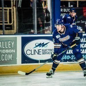 Roanoke Rail Yard Dawgs vs. Birmingham Bulls