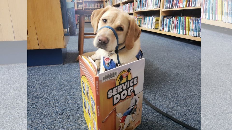 NEADS Puppy Raiser Info Session, Worcester Public Library, Frances