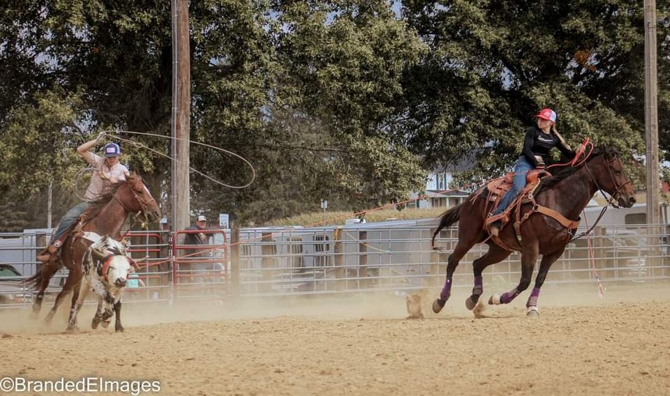 Beginner Roping Clinic Intro with Horse, 28984 Sieverding Rdg Bellevue ...