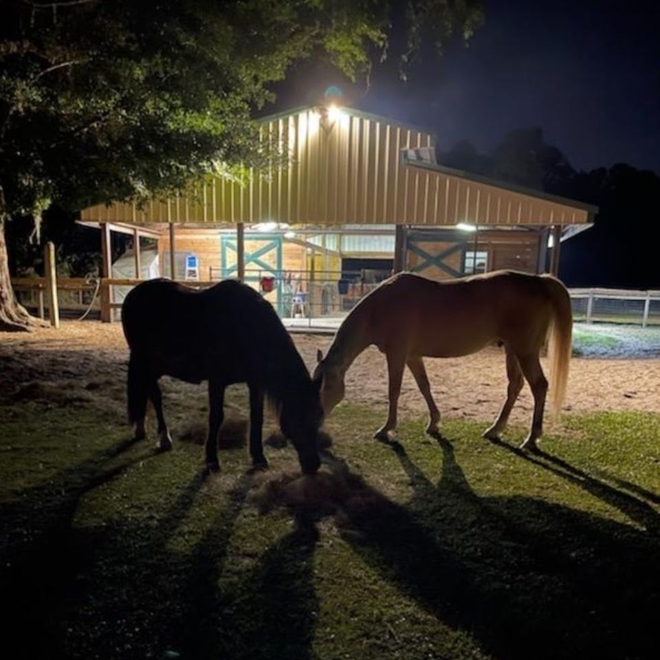 Oct 14 FEED YOUR SOUL RETREAT Mystic Farms, Mystic Farms Retreats