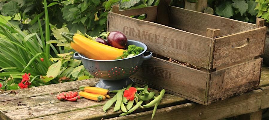 Get going with Grow Your Own (Beginners) with Julia and Jacky, 28 March | Event in Preston Bissett | AllEvents