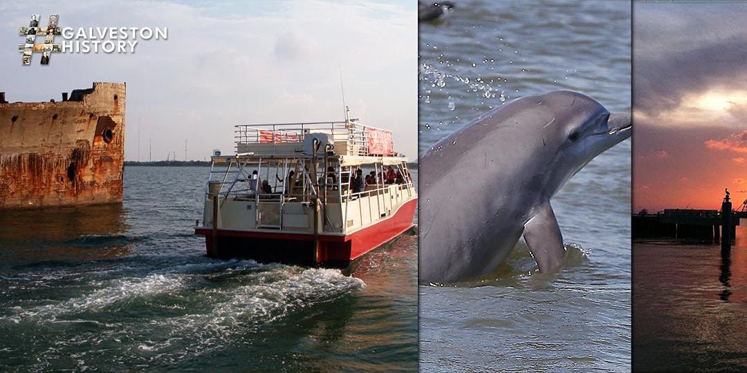 On the street of pier 21 and street number is 8. Galveston Historic Harbor Tour & Dolphin Watch at 1877 Tall Ship ELISSA