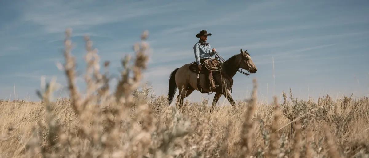 Colter Wall, Red Shahan in Madison, 30 September | Event in Madison | AllEvents