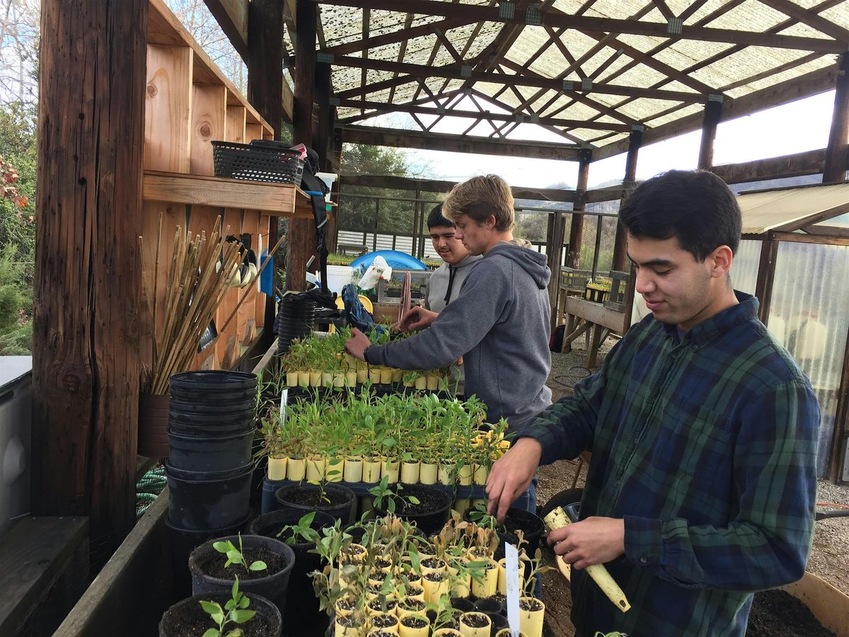 Native Plant Workshop!  Intro to Growing and Running a Native Plant Nursery, 5 December | Event in Thousand Oaks