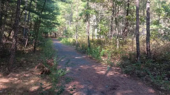 Casual Slow Hike on the Cranberry Trail and around Pakim Pond, 14 October | Event in New Lisbon | AllEvents