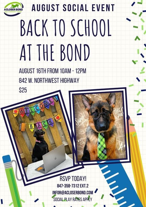 10th August 2021 Events In Palatine Palatine Events February 10 2022