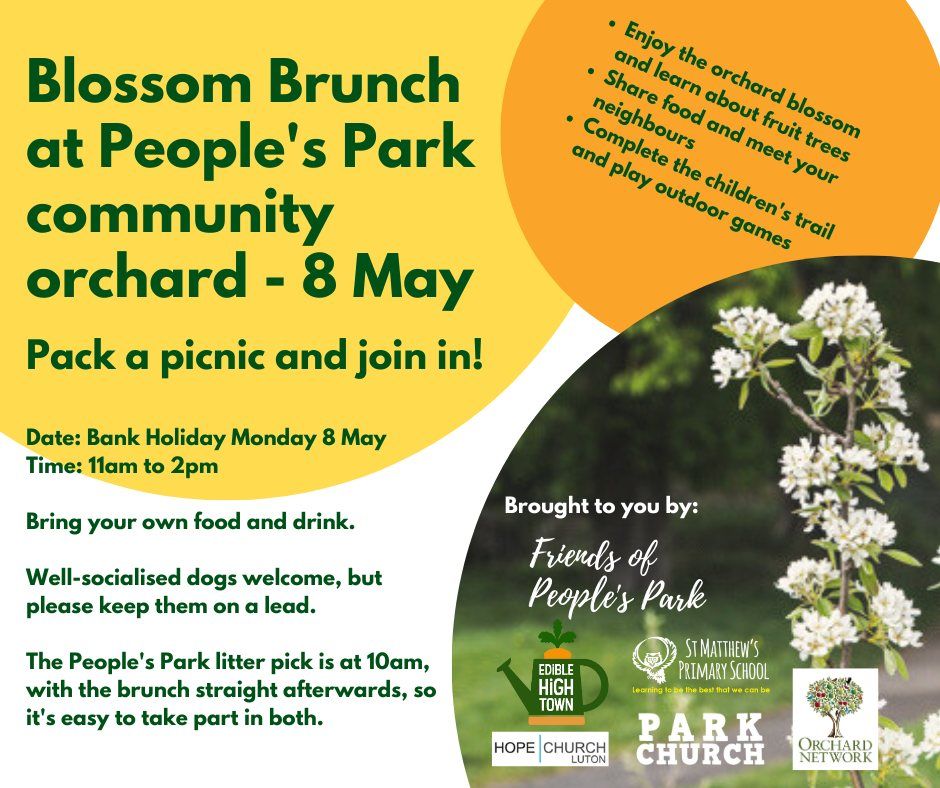 Blossom Brunch at Peoples Park community orchard, People's Park