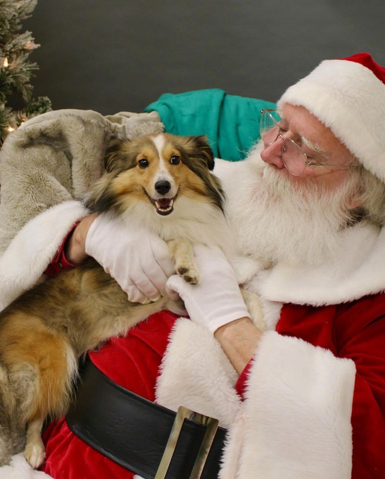 Rescue Me GA fundraiserPictures with Santa, Top Dogs Pet Boutique in