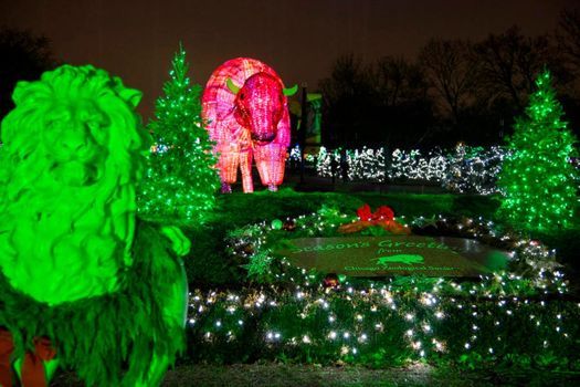 Holiday Magic At Brookfield Zoo 2021 June 22 2021 Online Event Allevents In Brookfield Christmas House Tours 2021