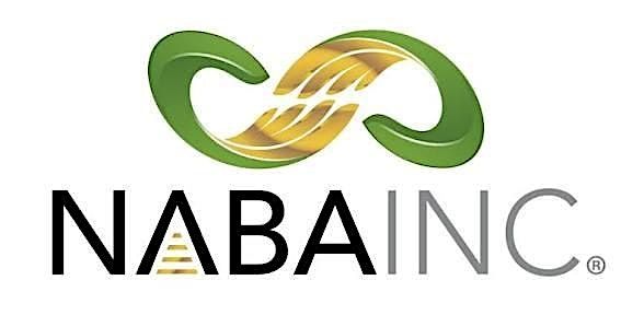 NABA Cleveland Year-End Mixer & Game Show Duel, 11 December | Event in Mentor | AllEvents