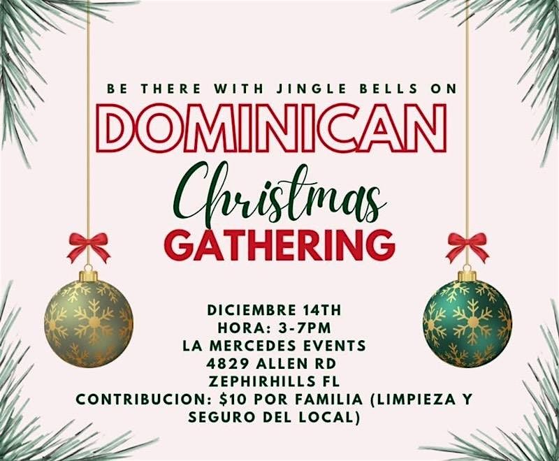 Fiesta Navideña 2025!  Dominicanas en Wesley Chapel, 14 December | Event in Zephyrhills | AllEvents