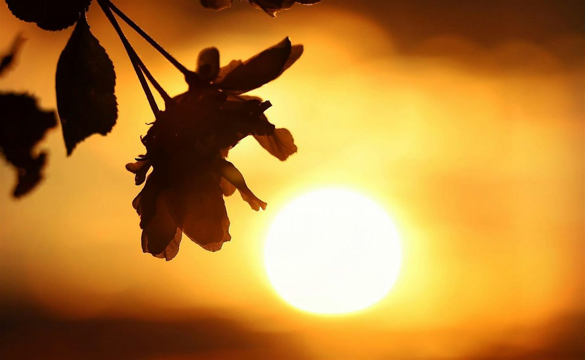 Holy Fire® Reiki  Level 1 Training, 4 January | Event in Stamford | AllEvents