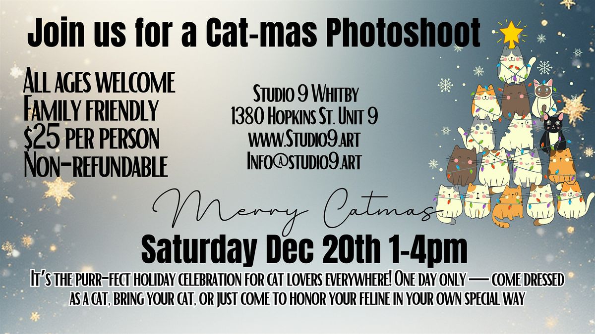 A Cat-Mas Photoshoot for Cats & Cat Lovers, 20 December | Event in Whitby | AllEvents