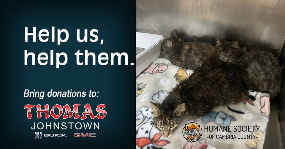 Donation drive for the humane society of cambria county 750