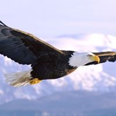 PI ETA Consulting Company