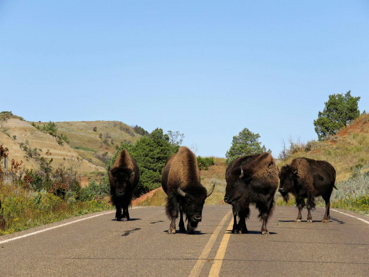 MWTN 2026 Podcasting Workshop – Medora, ND (Oct. 5–7), AmericInn by ...