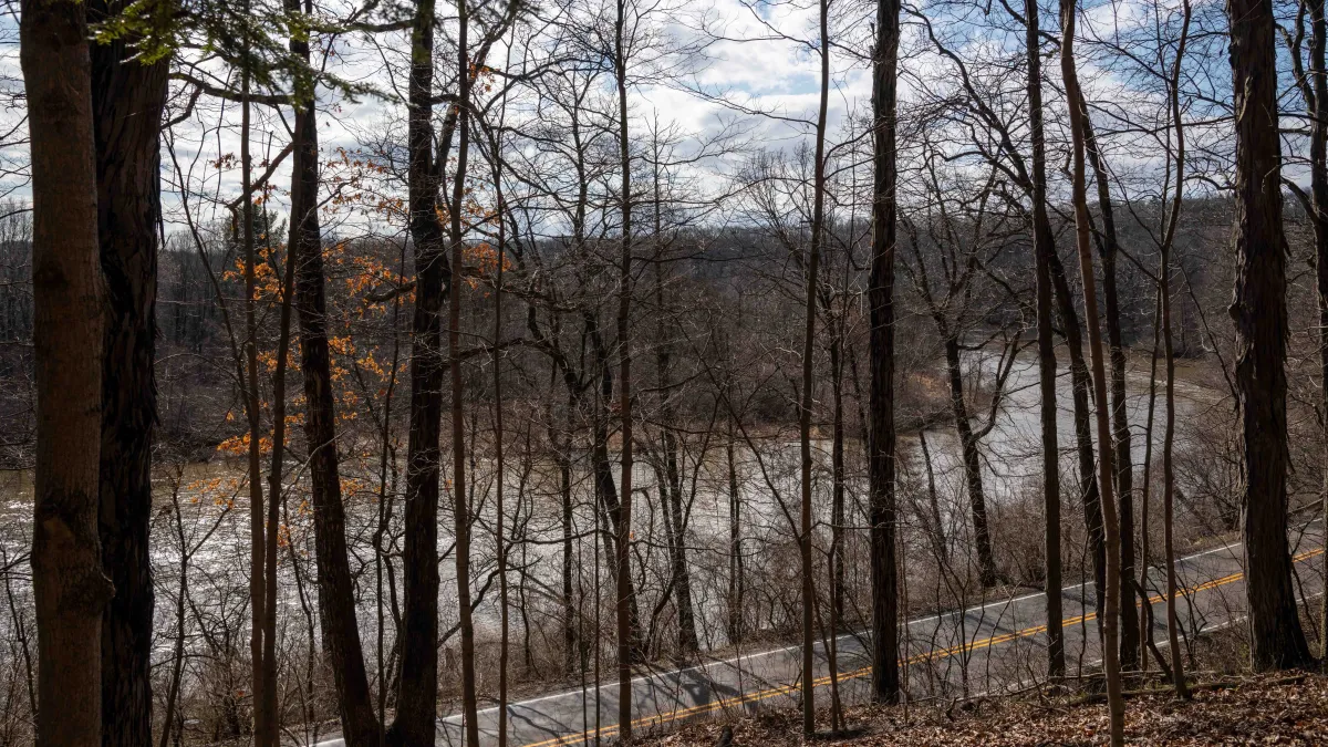 Exercise Guide: Bird Hills - Kuebler Langford - Barton Nature Area, 30 June | Event in Ann Arbor | AllEvents