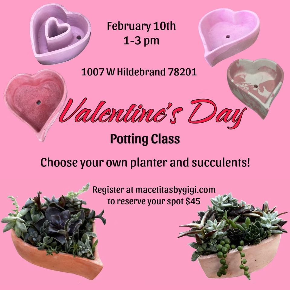 PlantaHeart, 1007 W. Hildebrand, 78201, San Antonio, February 10 2024