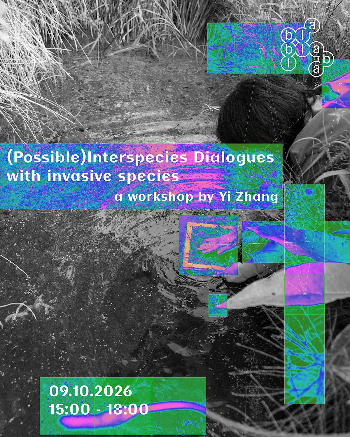 (Possible) Interspecies Dialogues with Invasive Species by Yi Zhang