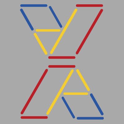 Project Human X