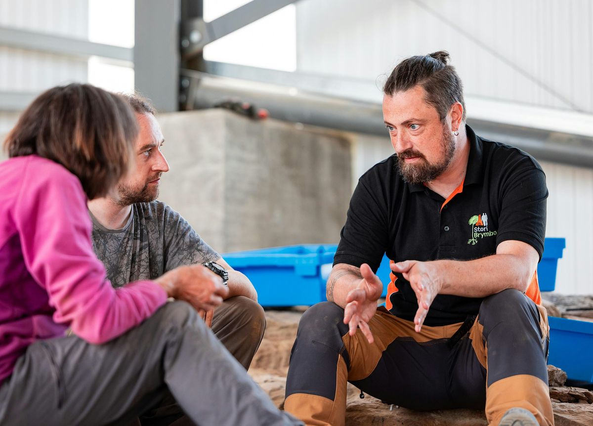 Weekend Palaeontology Experience (Dec), Stori Brymbo, 5 December to 6 ...