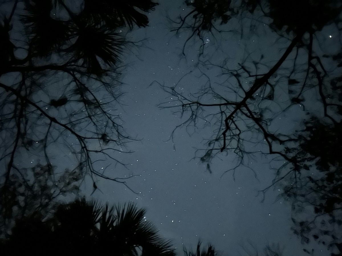 Star Party at The Enchanted Forest Sanctuary, 16 January | Event in Titusville | AllEvents