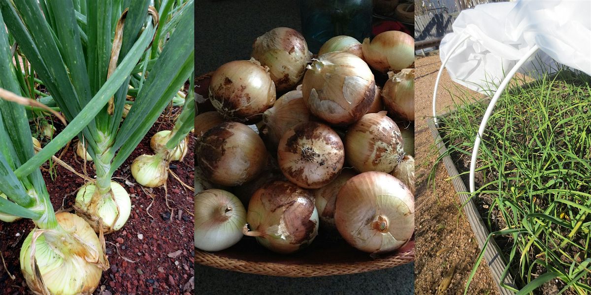 FAST Class: Growing Onions & Leeks, 20 December | Event in Dallas | AllEvents