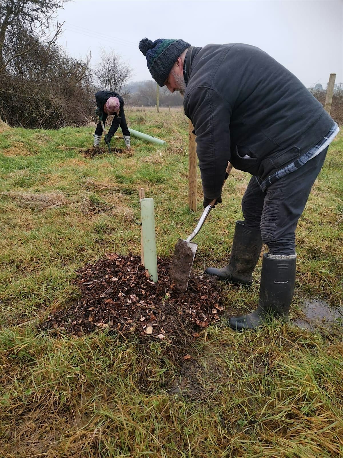 Plant Trees At Bridies Farm