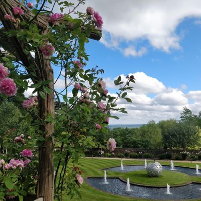 Riverhill Himalayan Gardens logo