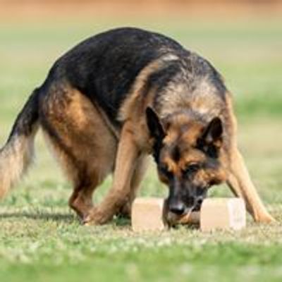 Outlaw Working Dog Club